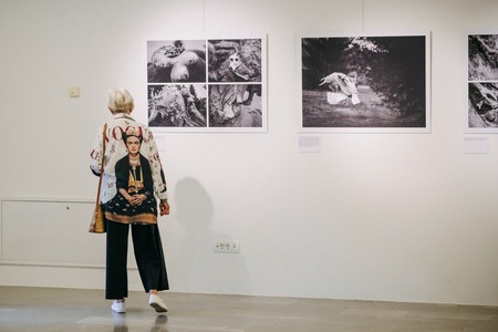 Odprtje razstave Koroški pečat Mirsada Begića - Dialog kiparja in fotografinje Nike Hölcl (14)